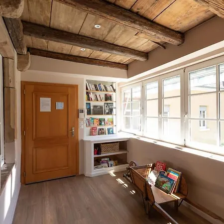 Apartment A Travers Champs Avec Sauna Et Parking Colmar