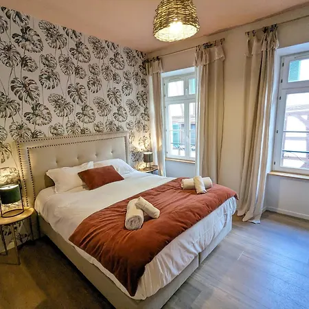 Apartment A Travers Champs Avec Sauna Et Parking Colmar
