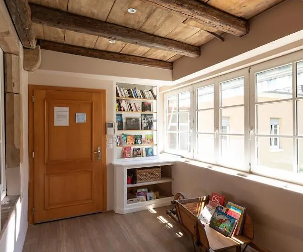 Daire A Travers Champs Avec Sauna Et Parking Colmar