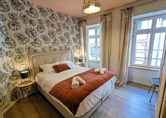 Daire A Travers Champs Avec Sauna Et Parking Colmar