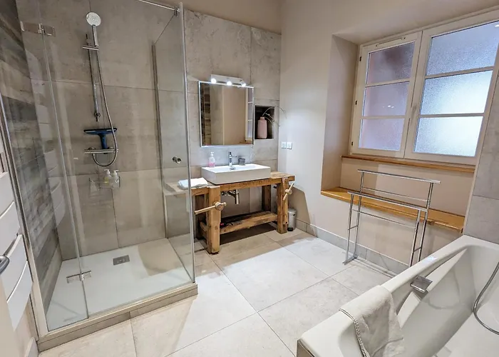 Daire A Travers Champs Avec Sauna Et Parking Colmar